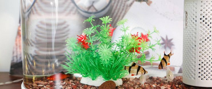 畫法幾何魚缸如何連接米家：如何將畫法幾何魚缸連接到米家app