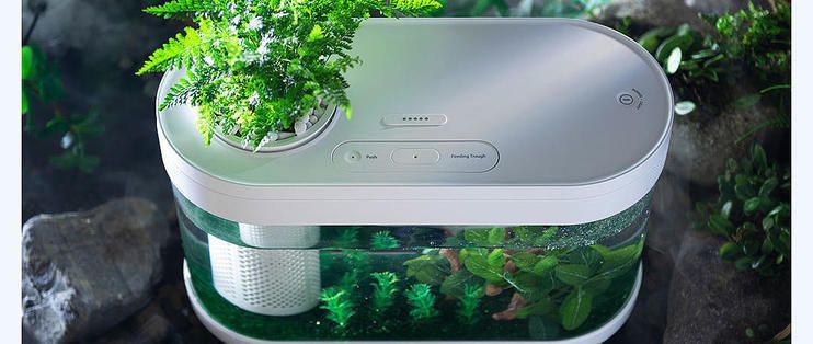 畫法幾何魚缸如何連接米家：如何將畫法幾何魚缸連接到米家app