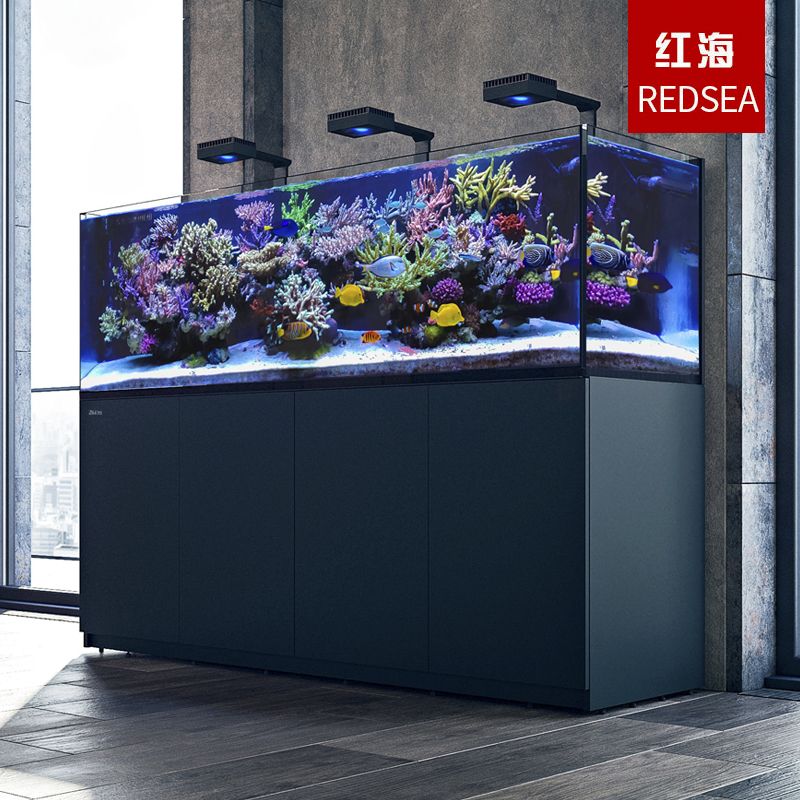 璀璨水景紅海魚缸安裝視頻：璀璨水景發布的“90底濾紅海缸拆箱安裝”視頻介紹