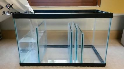 什么是彩蝶魚缸圖片：彩蝶魚缸與普通魚缸的區別，彩蝶魚缸的日常維護要點