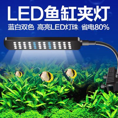 魚缸LED燈節(jié)能效果對比：如何選擇適合魚缸的led燈