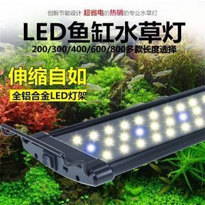 魚缸LED燈節(jié)能效果對比：如何選擇適合魚缸的led燈