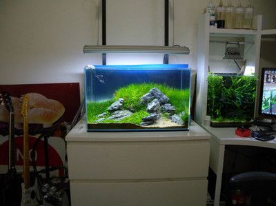小魚缸效果圖：小魚缸效果圖是一種展示小魚缸設計、布局和裝飾效果的視覺表現 小魚缸效果圖：小魚缸效果圖是一種展示小魚缸設計、布局和裝飾效果的視覺表現 魚缸百科 第4張