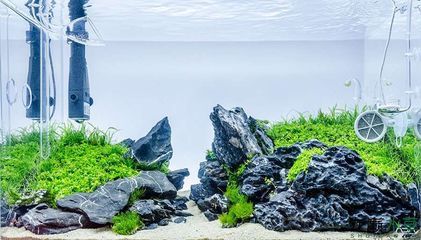 小魚缸效果圖：小魚缸效果圖是一種展示小魚缸設計、布局和裝飾效果的視覺表現 小魚缸效果圖：小魚缸效果圖是一種展示小魚缸設計、布局和裝飾效果的視覺表現 魚缸百科 第5張