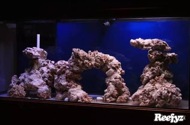 小魚缸效果圖：小魚缸效果圖是一種展示小魚缸設計、布局和裝飾效果的視覺表現 小魚缸效果圖：小魚缸效果圖是一種展示小魚缸設計、布局和裝飾效果的視覺表現 魚缸百科 第3張