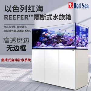 紅海魚缸的養護秘籍紅海魚缸的養護秘籍紅海魚缸養護秘籍：紅海魚缸養護秘籍