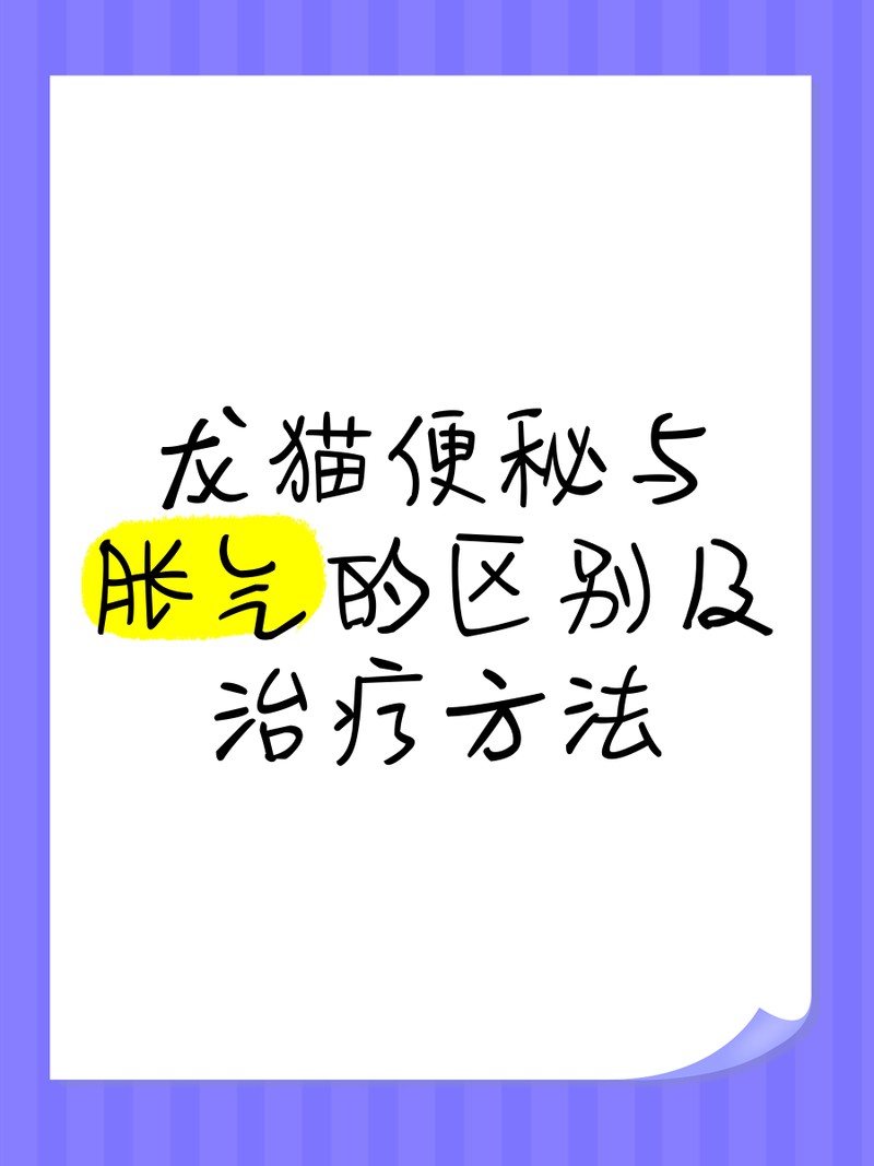 龍貓排便前有什么征兆？