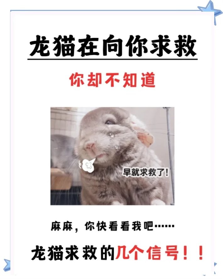 龍貓排便前有什么征兆？