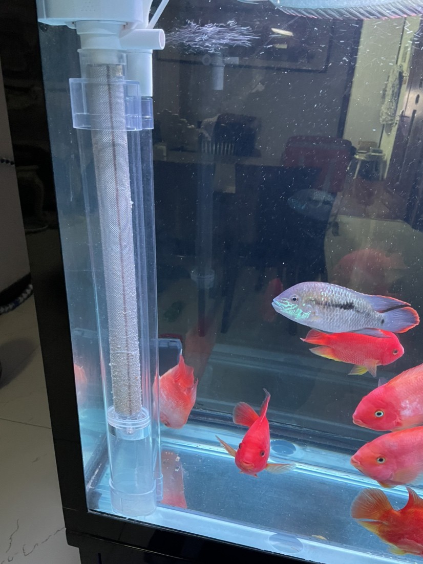 紹興水族館方便