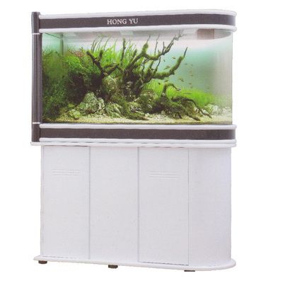 專業魚缸維修（專業的魚缸維修服務）