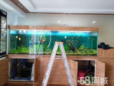 專業魚缸維修（專業的魚缸維修服務）