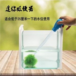 給小魚缸換水的正確的換水方法能夠提升魚缸水質的清潔：如何給小魚缸換水