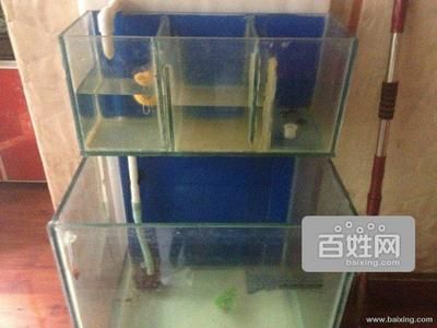 懷柔哪里有賣魚缸的實體店懷柔魚缸店聯系方式：北京懷柔哪里有賣魚缸的實體店