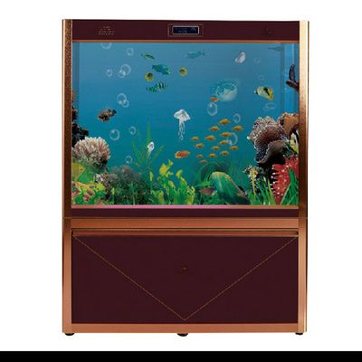 可麗愛魚缸官網旗艦店是正品嗎