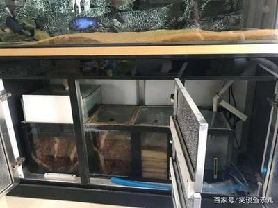 底濾魚缸設計圖及原理（底濾魚缸的工作原理）