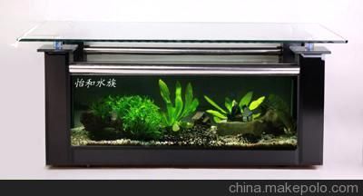 黑金剛魚(yú)缸（關(guān)于黑金剛魚(yú)缸的一些詳細(xì)信息）