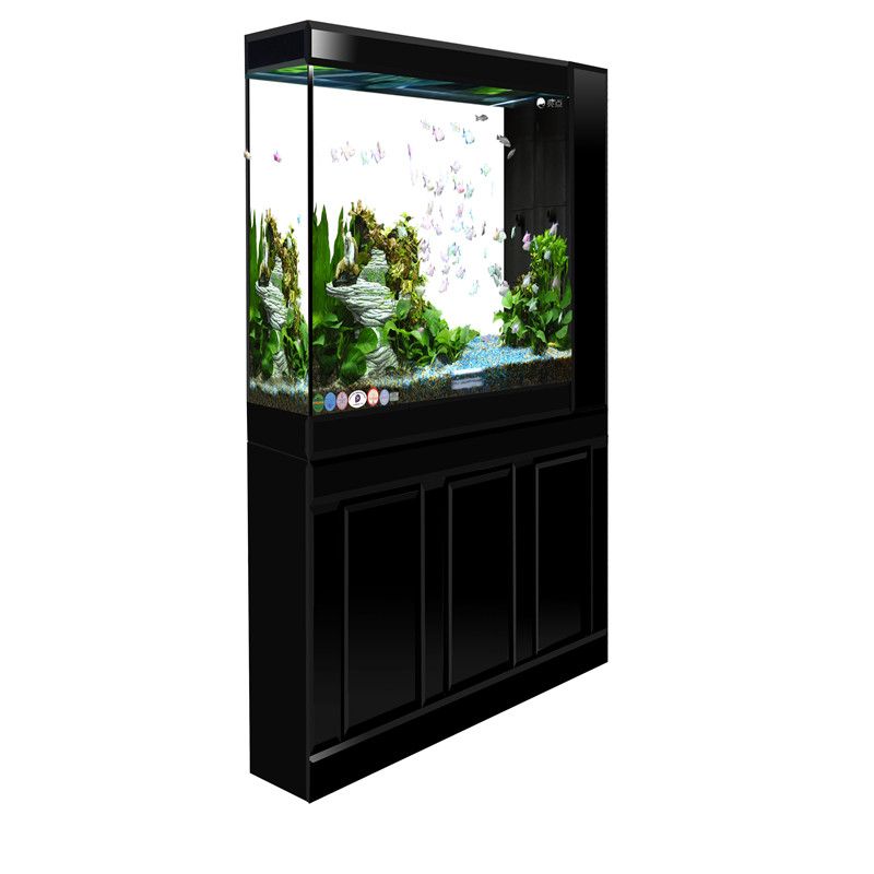 黑金剛魚缸(關(guān)于黑金剛魚缸的一些詳細(xì)信息)