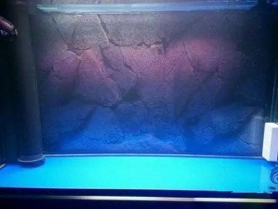 魚缸能用幾年（魚缸的壽命受多種因素影響，合理使用和保養可以延長使用壽命）