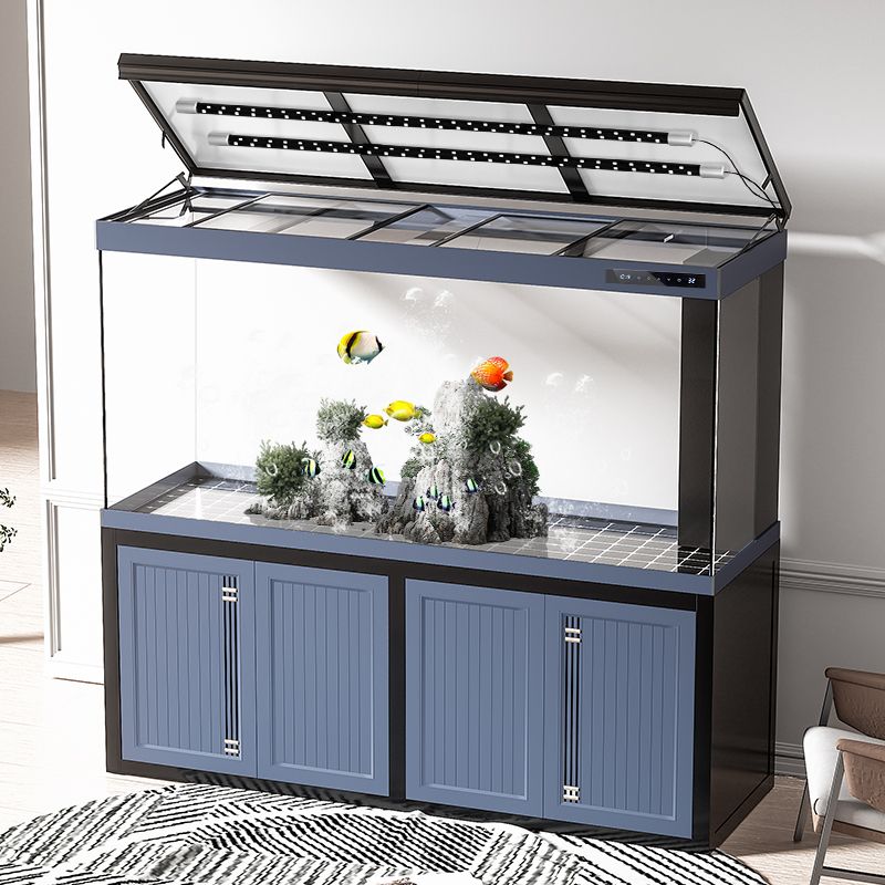 龍魚(yú)精養(yǎng)缸：關(guān)于龍魚(yú)精養(yǎng)缸的詳細(xì)信息