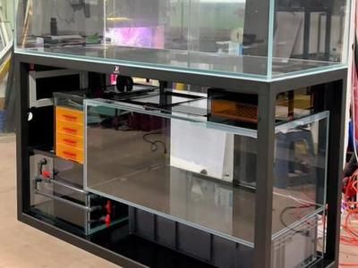 龍魚(yú)精養(yǎng)缸：關(guān)于龍魚(yú)精養(yǎng)缸的詳細(xì)信息