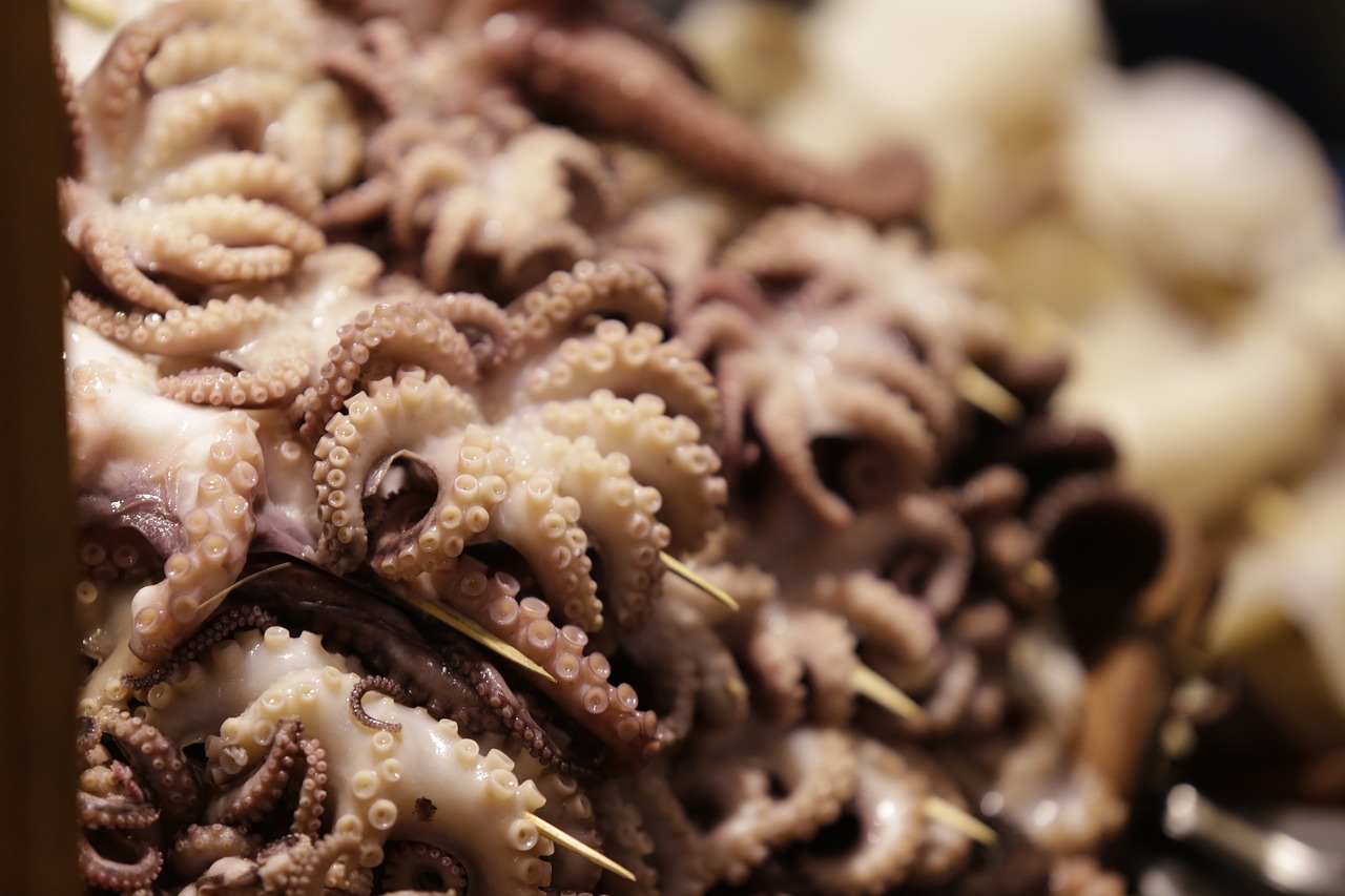 漳州投資區角美懷順水產品養殖場（漳州角美海鮮市場在哪）