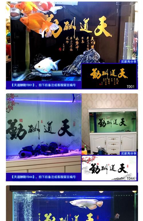 有沒有更多高清的龍魚缸背景圖？