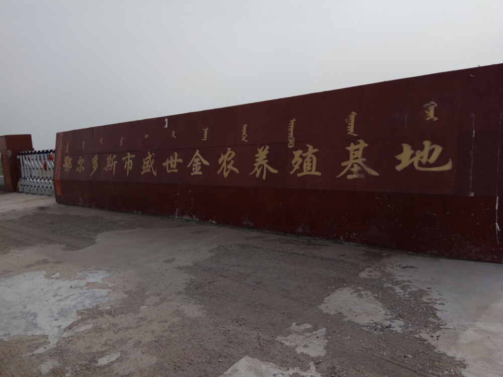 鄂爾多斯龍魚養(yǎng)殖基地在哪里有賣