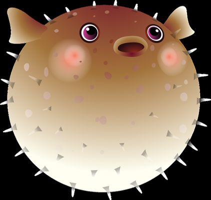 六角龍魚吃什么魚糧：六角龍魚吃什么