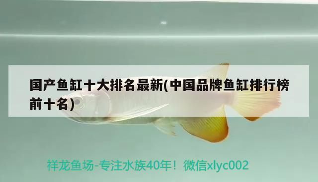 品牌魚缸排行榜最新：2025年最新發(fā)布的魚缸品牌排行榜