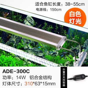 森森魚缸燈多少伏：森森魚缸燈12伏電壓的選擇