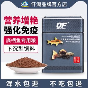 BD魟魚最佳飼料品牌推薦，bd魟魚的最佳飼料品牌推薦