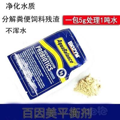 BD魟魚最佳飼料品牌推薦，bd魟魚的最佳飼料品牌推薦