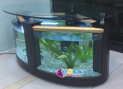 鋼化玻璃是一種什么樣的魚(yú)缸材質(zhì)？：diy魚(yú)缸玻璃材質(zhì)對(duì)比魚(yú)缸玻璃材質(zhì)的特點(diǎn)和特點(diǎn)