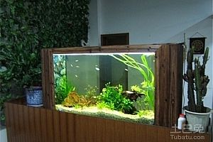 美之海魚缸安裝視頻教程（美之海魚缸安裝視頻教程如何正確安裝和維護(hù)美之海魚缸）