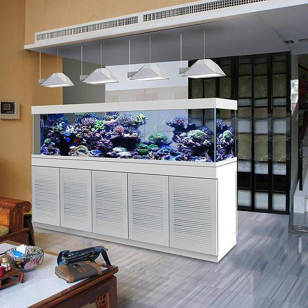 生態魚缸的養護秘籍想要打造一個健康的生態魚缸：海景魚缸和生態魚缸的區別是什么？