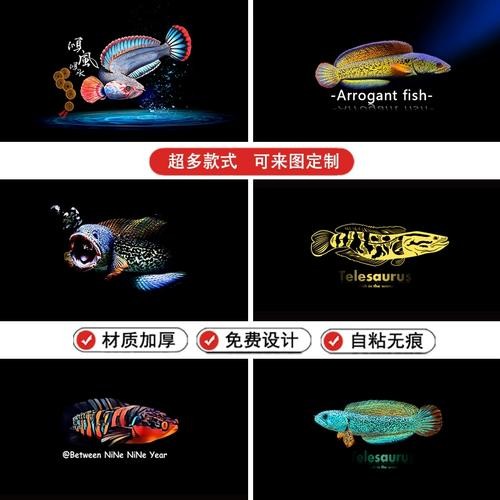 雷龍魚圖片背景紙畫