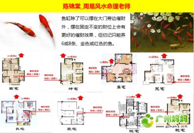 魚缸擺在大門對(duì)面好嗎（魚缸擺在大門對(duì)面好嗎,）