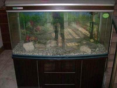 魚缸擺在大門對面好嗎（魚缸擺在大門對面好嗎,）