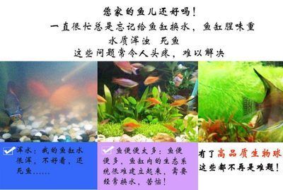 國內品牌魚缸排名前十：2024年國產品牌魚缸排名前十