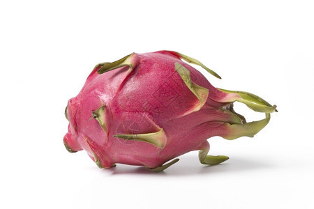 昆明市盤龍區碧濤水族館