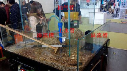 魚缸底濾的制作過程：底濾魚缸制作過程