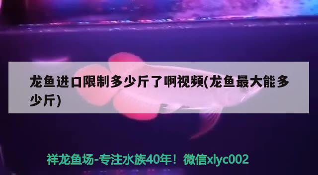 萬利來水族店