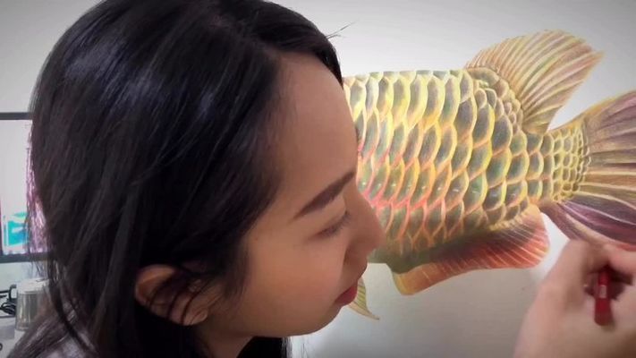 龍魚(yú)畫(huà)像，如何鑒別龍魚(yú)畫(huà)像的風(fēng)水寓意