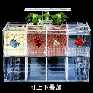 魚缸過濾器哪種最好最實用（魚缸過濾器哪種最好）