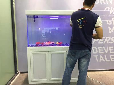 桓臺哪里有賣魚缸的市場（桓臺縣城區(qū)可麗愛水族館、可麗愛水族館、可麗愛水族館）