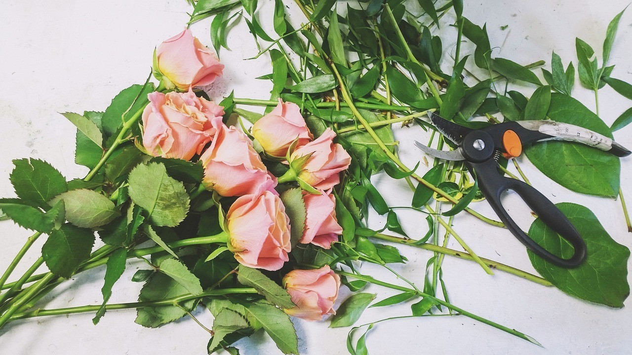 新華區(qū)小董花店（新華區(qū)小董花店地址）