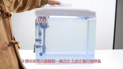 魚缸過濾器選擇：觀賞魚缸過濾器選擇哪種過濾器適合自己的選擇