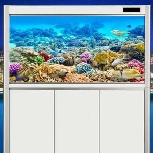 如何打造家庭海洋生態(tài)魚缸：全球最大的海洋生物展覽館——奧杜邦中心