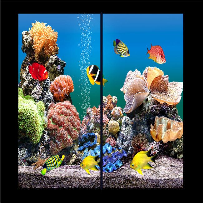 如何打造家庭海洋生態(tài)魚缸：全球最大的海洋生物展覽館——奧杜邦中心