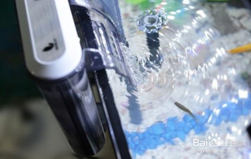 清遠市清城區公園水簇館（清遠市清城區公園水簇館地址）